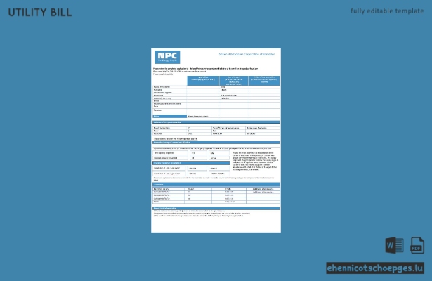 Beispielrechnung der Barbados National Petroleum Corporation (NPC) für Gasversorgungsleistungen